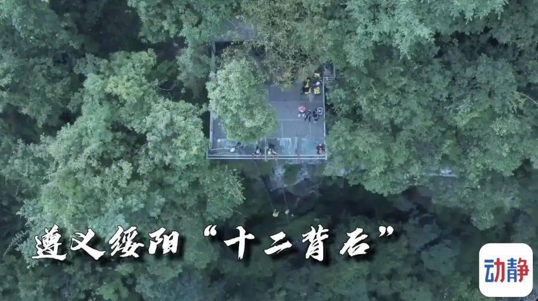 全民烧脑3去广告版