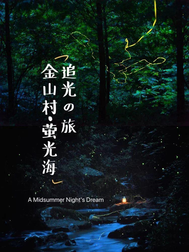 第五人格