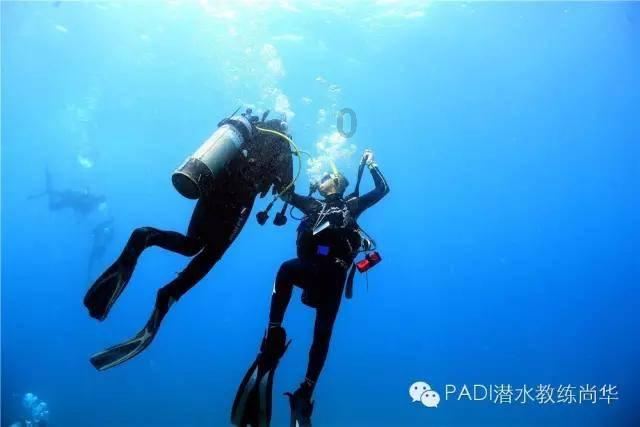 疯狂的小偷