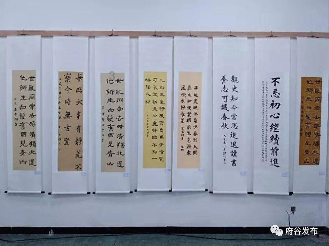 陶汉林33分难救主！山东男篮106-118不敌深圳