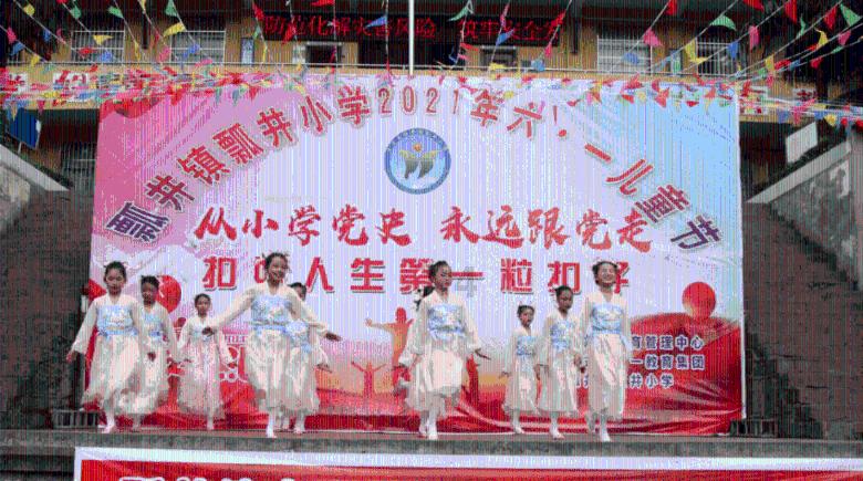 雨后盛放